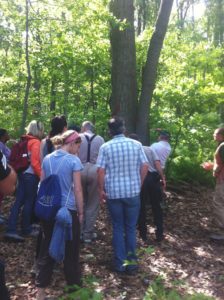 Energy Path 2014 Biomass section campers visit sustainably managed Weiser State Forest, Pennsylvania