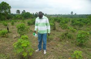Oladunjoye A. Waleola Spraying nutrients on Jatropha plants at Ondo State (07/08/2013).