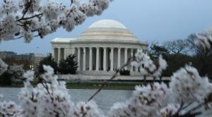 Jefferson Monument with flowers